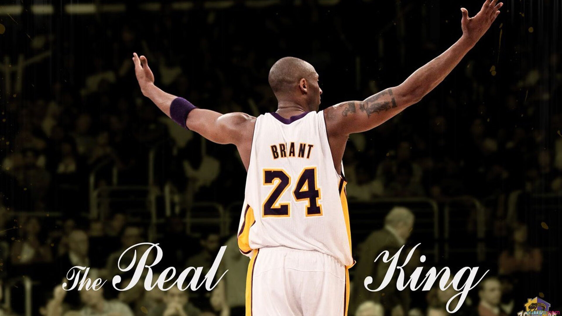 _老虎般的猛龙，鏖战到底笑到最后_，迅猛的老虎